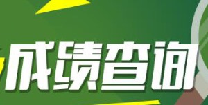 内蒙古省考成绩查询